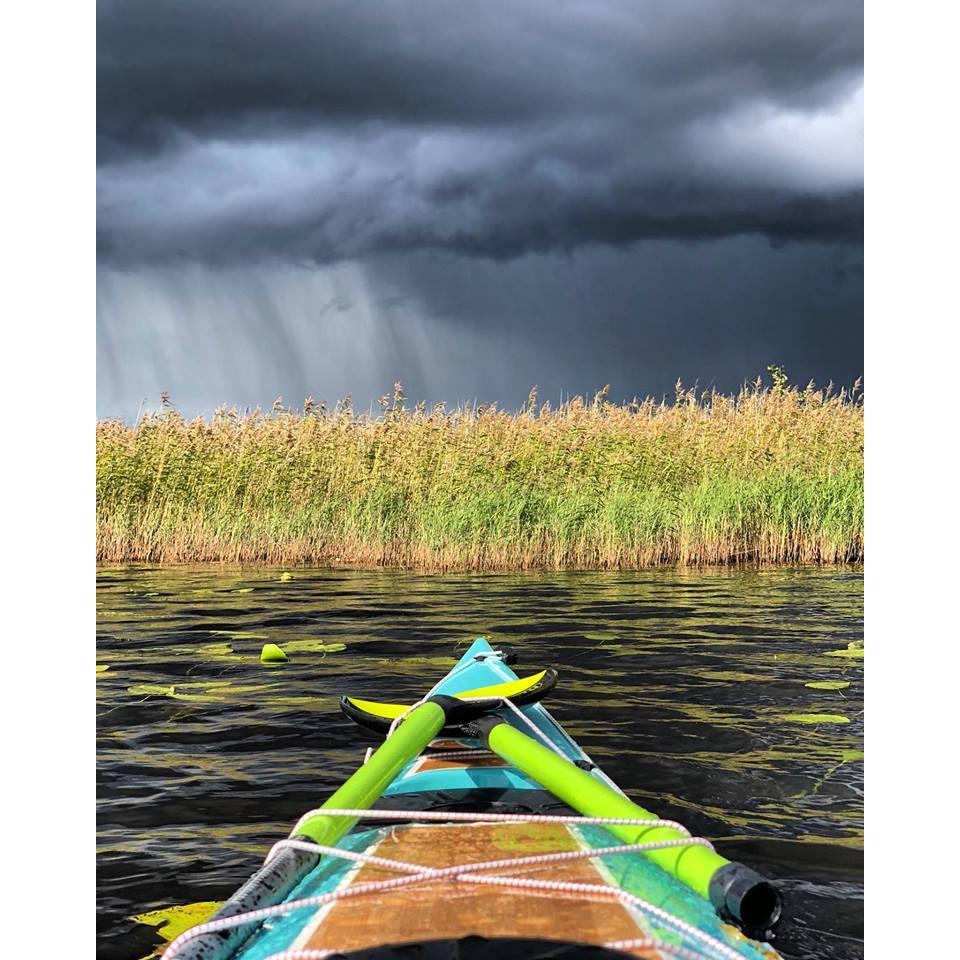 Greentip Hydra Kuppimela, hiilikuitua